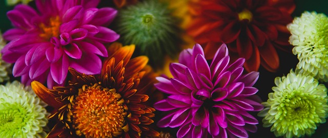 自主研发,不断创新